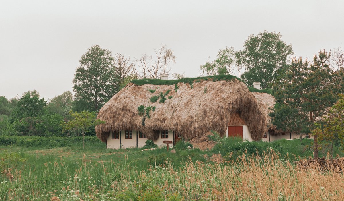 Thatched Roof