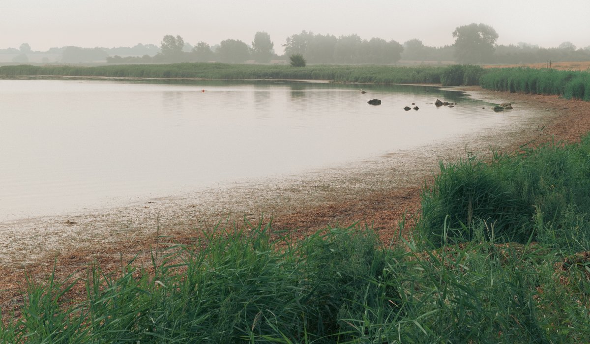 Denmark Coast